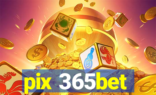 pix 365bet